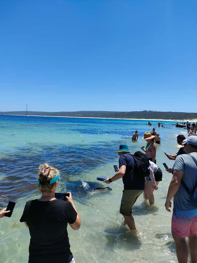 From Perth: Margaret River Region Impression Day Tour - Prevelly lunch break: where to slow down for real