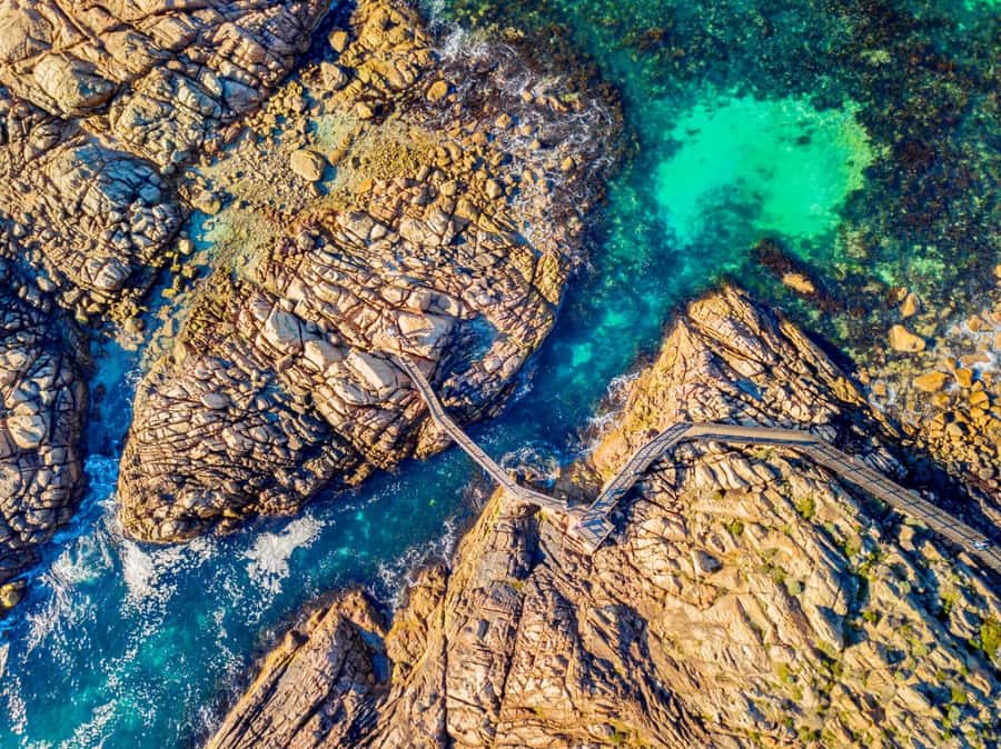 From Perth: Margaret River Wine Tour & Wildlife Cruise - Guide style and group feel: what it adds to the day