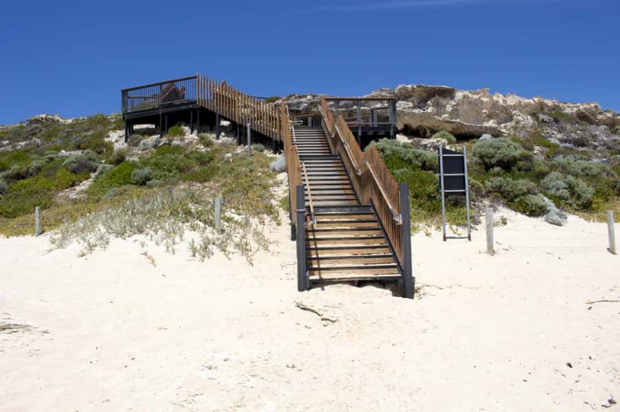 From Perth: Margaret River Wine Tour & Wildlife Cruise - Who this Margaret River day tour suits best (and who should skip)
