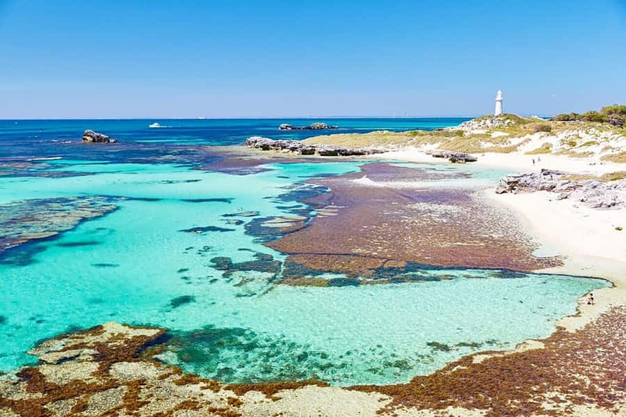 From Perth or Fremantle: Rottnest Explorer Segway Tour - Early 1800s Settlement Stories: Why the Tour Feels More Than Fun