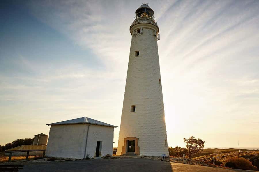 From Perth or Fremantle: Rottnest Island Ferry and Bus Tour - Island Free Time: Beaches, Woodlands, Salt Lakes, and Quokka Time