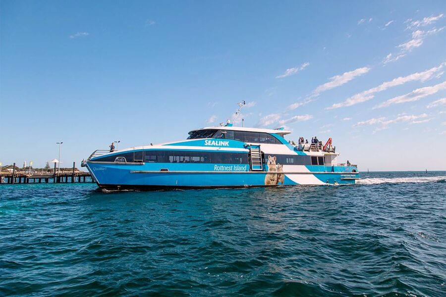 From Perth or Fremantle: Rottnest Island Ferry and Bus Tour - Weather, Flies, and Packing Tips That Actually Matter
