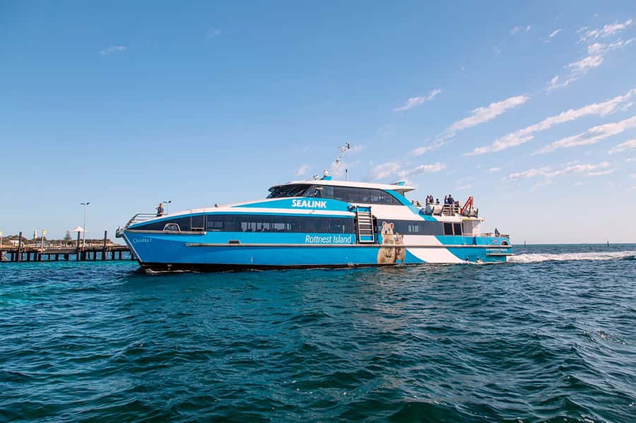 From Perth or Fremantle: Rottnest Island Ferry and Bus Tour - Who This Tour Suits Best (and Who Should Rethink It)