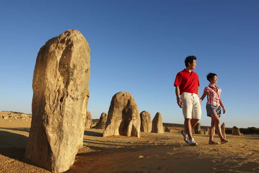 From Perth: Pinnacles Desert, Yanchep & Swan Valley Day Tour - Key Highlights You’ll Actually Feel During the Day