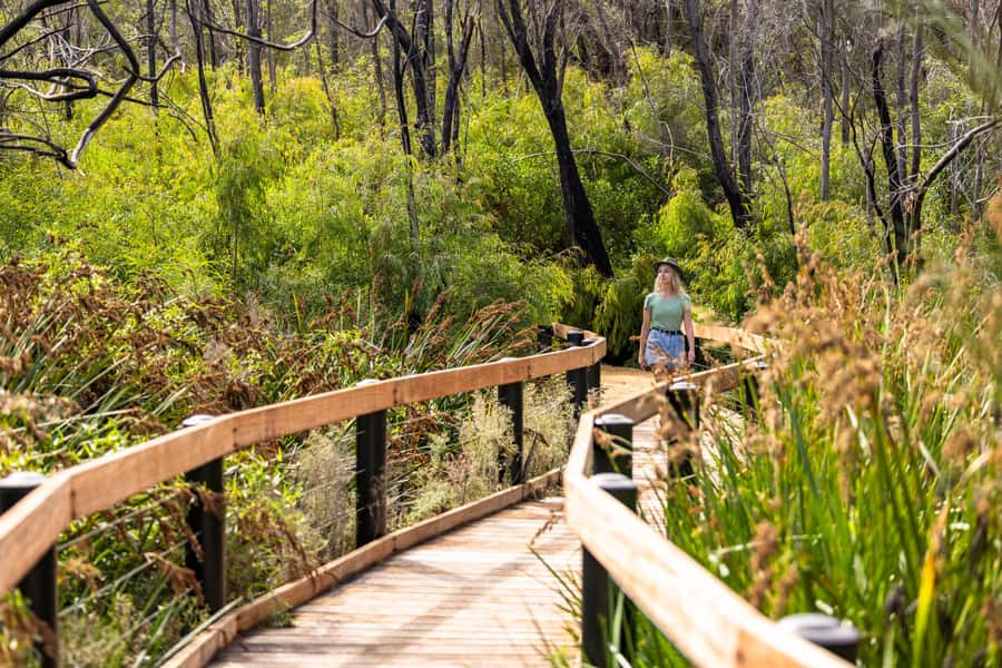 From Perth: Pinnacles Lobster Shack and Yanchep Day Trip - Price and value: is $130 a fair trade for a full day?