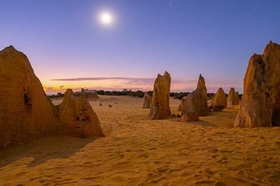 From Perth: Pinnacles Sunset and Stargazing Tour with Dinner - Dinner under the stars: picnic food, wine, and Dreamtime stories