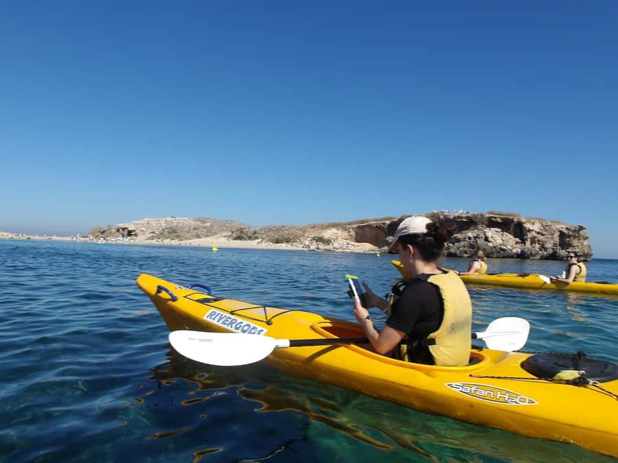 From Perth: Rockingham Seal & Penguin Islands Sea Kayak Tour - Shoalwater Bay kayaking: why this trip is more than a boat ride
