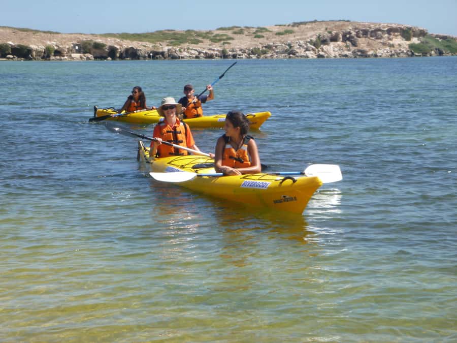 From Perth: Rockingham Seal & Penguin Islands Sea Kayak Tour - Snorkeling and swimming: full-face masks, real water time, and a safety mindset