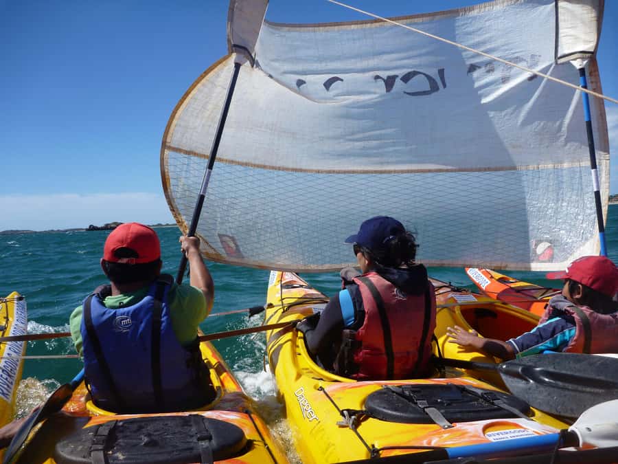 From Perth: Rockingham Seal & Penguin Islands Sea Kayak Tour - What to bring so you stay comfortable all day