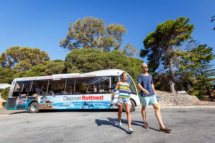 From Perth: Rottnest Island Ferry & Bus Day Tour - Rottnest in a Day: A Practical Mix of Guided Stops and Free Time
