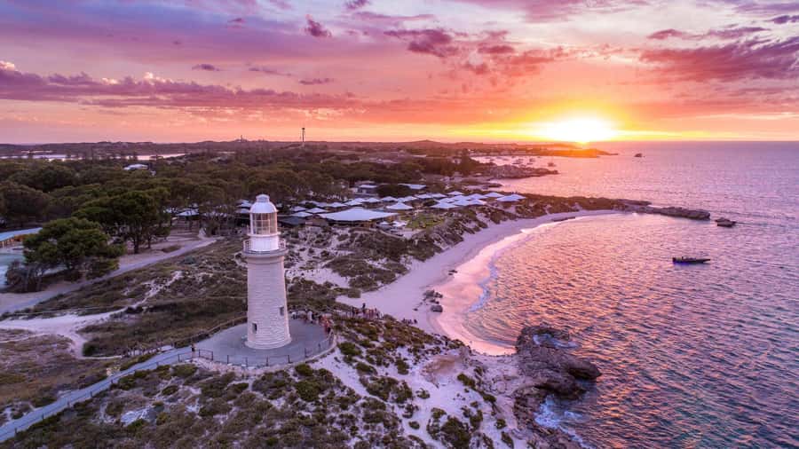 From Perth: Rottnest Island Ferry & Bus Day Tour - Perth Departure Details: Meeting Point and the Day’s Shape