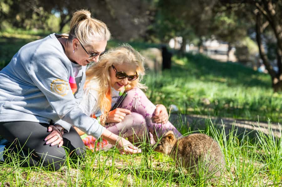 From Perth: Rottnest Island Full-Day Bike and Ferry Trip - Rottnest by bike and ferry: why this format works