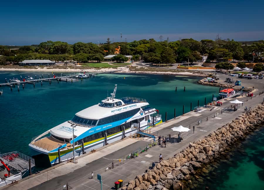 From Perth: Rottnest Island Full-Day Bike and Ferry Trip - The fast ferry crossing: quick, but pay attention to how you feel