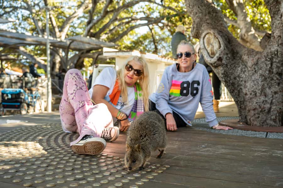 From Perth: Rottnest Island Full-Day Bike and Ferry Trip - All-day bike rental: how to use it without exhausting yourself