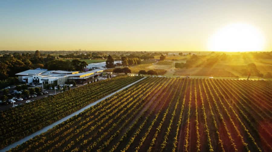 From Perth: Swan Valley Cruise, Winery, Cheese & Lunch - Why This Swan Valley Wine Cruise Beats a DIY Day