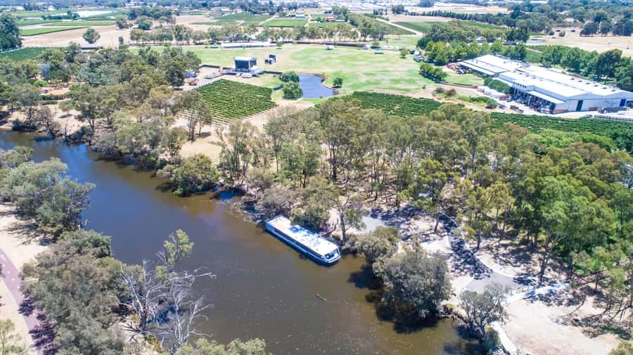 From Perth: Swan Valley Cruise, Winery, Cheese & Lunch - Who This Tour Is Best For (and Who Should Skip It)