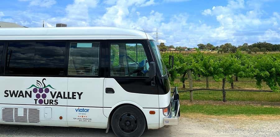 From Perth: Swan Valley Winery & Brewery Day Tour With Lunch - Swan Valley makes a great Perth day trip (especially if you like structure)