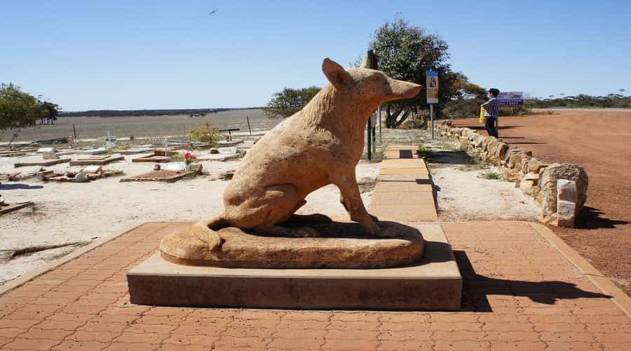 From Perth: Wave Rock, York and Aboriginal Cultural Tour - Key points before you go