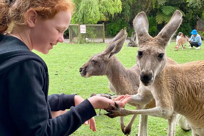 Full-Day Perth, Fremantle, Swan Valley & Wildlife Park - Price and value of $208: what you’re really paying for
