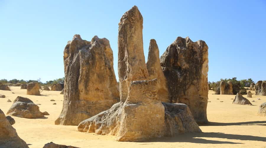 Full Day Pinnacles Desert and New Norcia - Key Points You’ll Want to Know