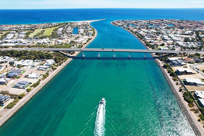 Giant and Dolphin Sightseeing Cruise in Mandurah - Peel-Harvey Estuary: the scale jumps up fast