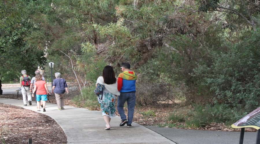 Half-Day Morning Perth & Fremantle City Explorer - What This 4.5-Hour Perth and Fremantle Tour Really Gives You