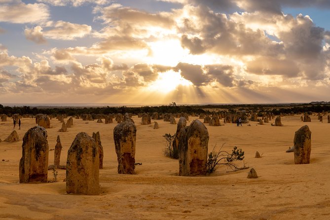 Half Day Pinnacles Sunset Tour - Perth pickup and the coach ride: fewer hassles, more viewing