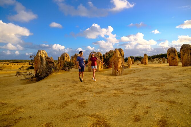 Half Day Pinnacles Sunset Tour - Stargazing after dark: what you’ll notice once the sun leaves
