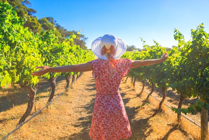 Half Day Swan Valley Afternoon Wine Tour - Premium Small Group Tour - Key Highlights You’ll Actually Care About