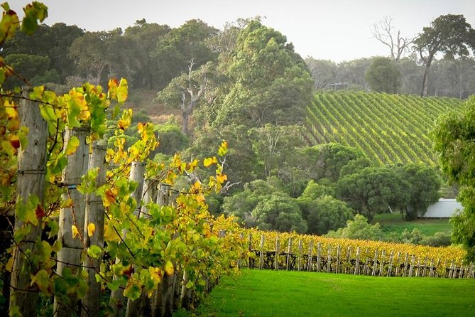 Half-Day Swan Valley & Wildlife Park Tour - Key things to know before you book