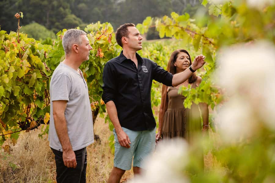 Half-Day Swan Valley Wine Tour with Tastings - From Perth - The Swan Valley Story You Can Hear While You Sip