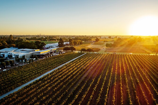 Half-Day Swan Valley Winery & Brewery - Chocolate Factory Stop and Produce Tasting: The Best Part for Food People
