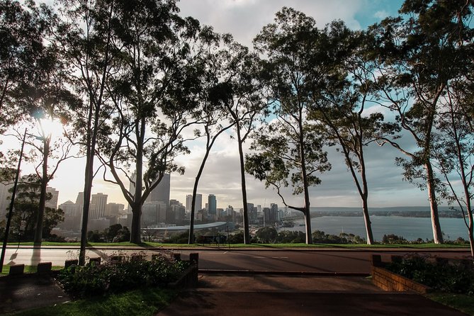 Kings Park Botanicals And Beyond - The 7km route: from river views to treetop perspectives