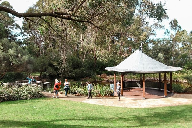 Kings Park Botanicals And Beyond - What the guide experience adds (beyond facts on a sign)