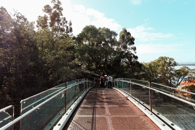 Kings Park Botanicals And Beyond - Meeting point and group size: why those details matter
