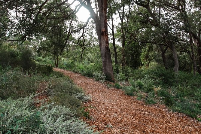 Kings Park Botanicals And Beyond - Value for $40.07: what you’re really paying for