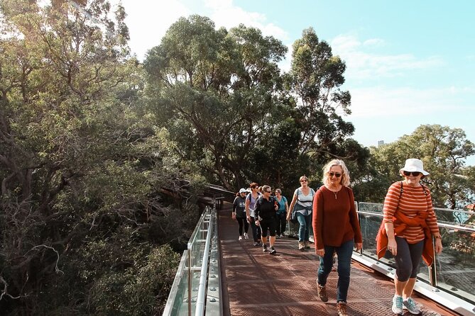 Kings Park Botanicals And Beyond - Who this tour suits best