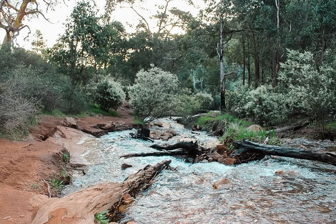 Lesmurdie Falls Scenic Sunset Guided Hike - Price and value: is $40.07 worth it for a small-group sunset hike?