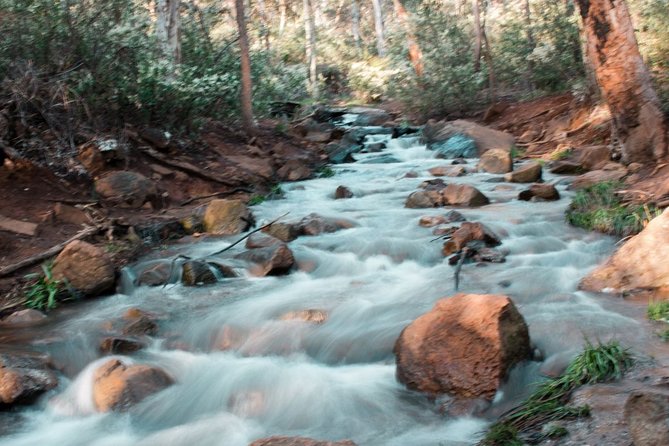 Lesmurdie Falls Scenic Sunset Guided Hike - Should you book the Lesmurdie Falls sunset guided hike?