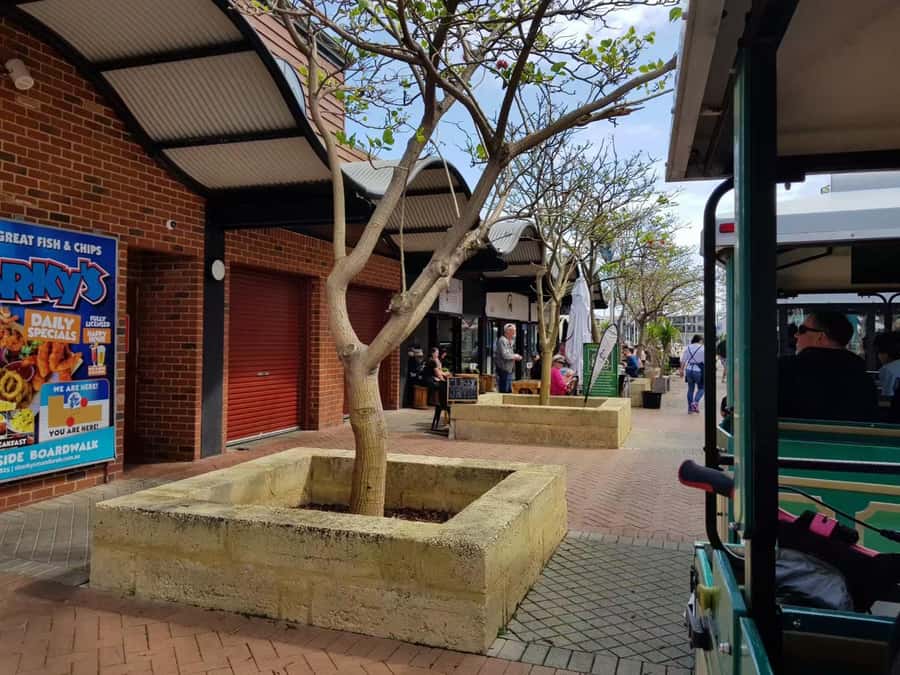 Mandurah: Big Toot 30 mins scenic tour - Big Toot Mandurah: a road-licensed trackless train made for casual sightseeing