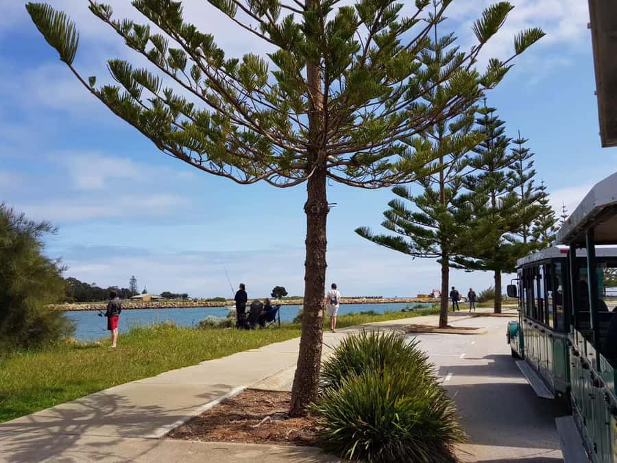 Mandurah: Big Toot 30 mins scenic tour - Wagons and comfort: open-air fun versus the covered glass option