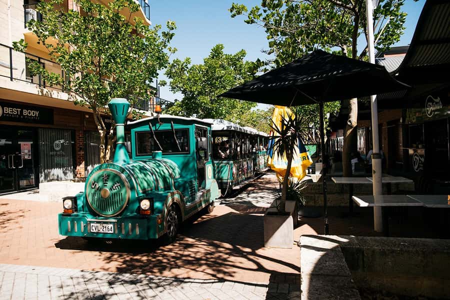 Mandurah: Big Toot 30 mins scenic tour - Best for who: families, casual planners, and wildlife-friendly sightseers
