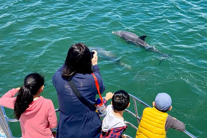 Mandurah Dolphin Cruise and Views - Venetian Canals and luxury home views: scenery that actually explains the region