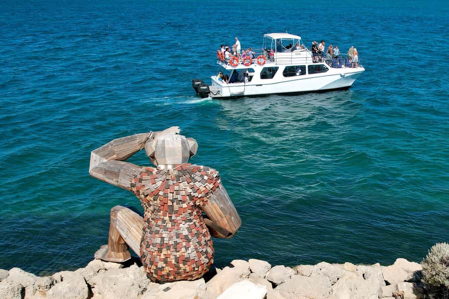 Mandurah: Dolphin & Giant Sightseeing Cruise - The itinerary feel: what happens during the 2 hours