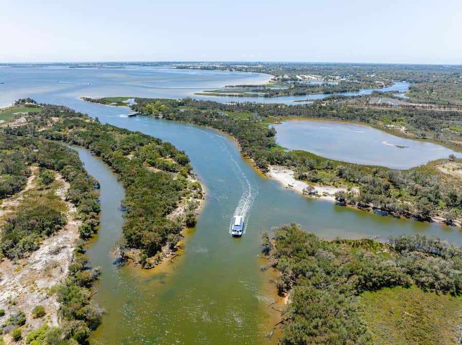 Mandurah: Murray River Lunch Cruise - Licensed bar and the tea/coffee mug tip