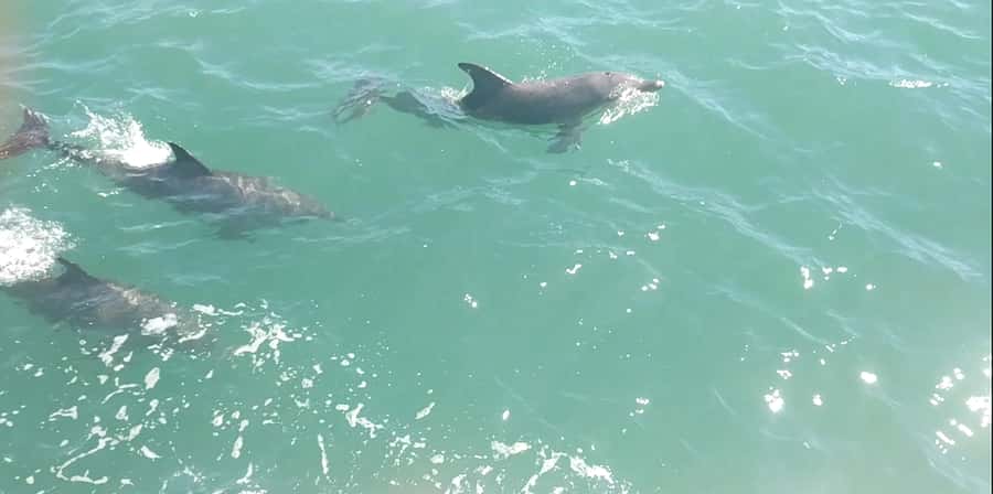 Mandurah Pirate Cruise - Key highlights at a glance