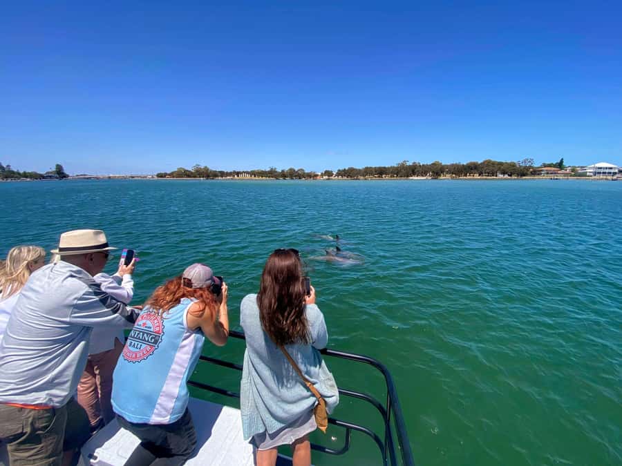 Mandurah: Sightseeing Dolphin Cruise with Tour Guide - Creery Wetlands and Boundary Island: the quieter stretch