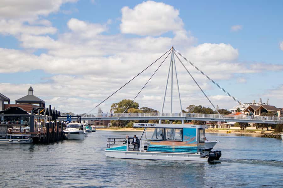 Mandurah: Sightseeing Dolphin Cruise with Tour Guide - Price and value: what $26 buys you in real terms