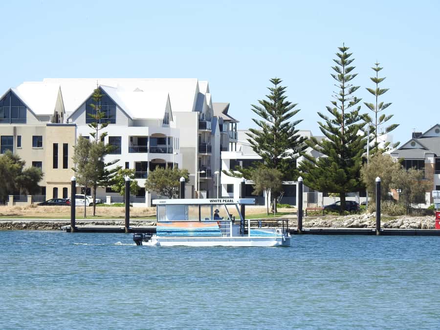 Mandurah: Sightseeing Dolphin Cruise with Tour Guide - What to bring (and what to leave behind)