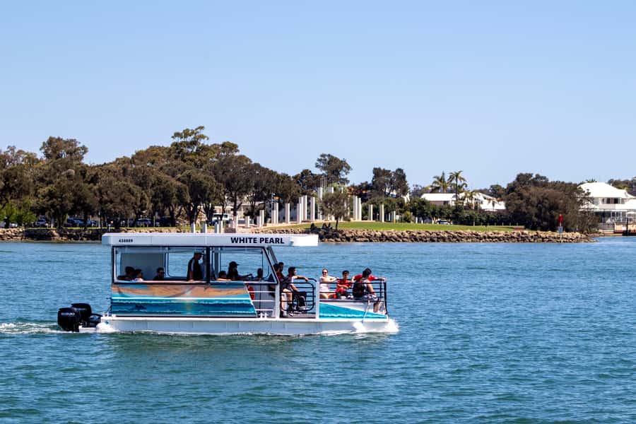 Mandurah: Sightseeing Dolphin Cruise with Tour Guide - Who this cruise is best for